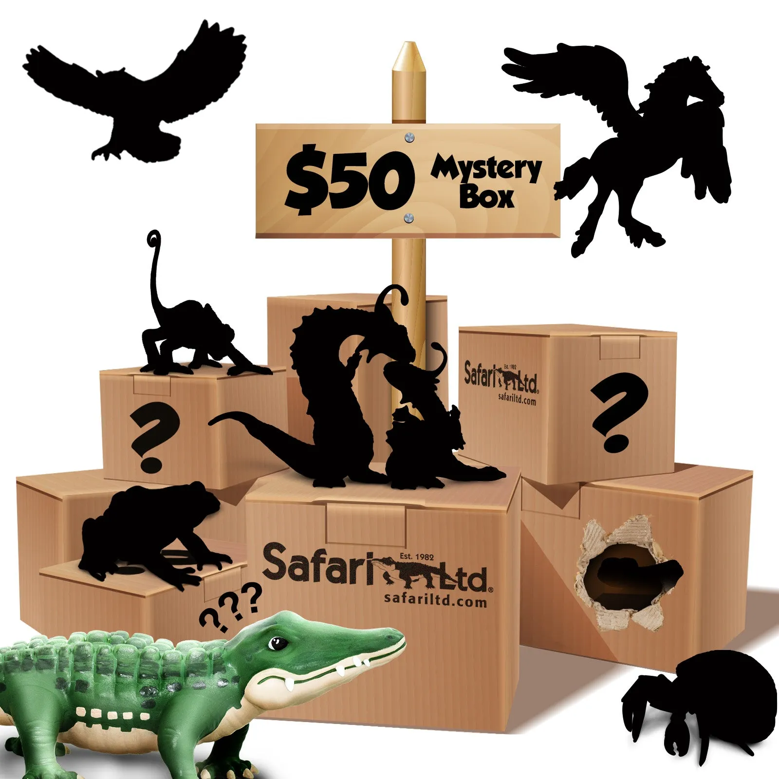 $50 Mystery Box