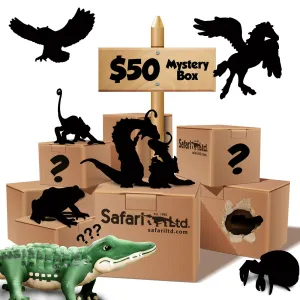 $50 Mystery Box