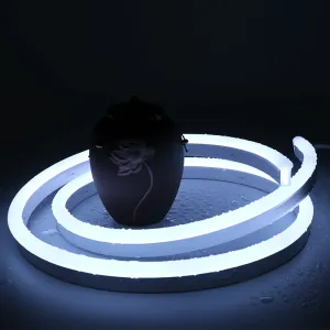 Cool White Neon Flex DC 12V IP65 Waterproof 8x16mm 120 LEDs/M Full Kit
