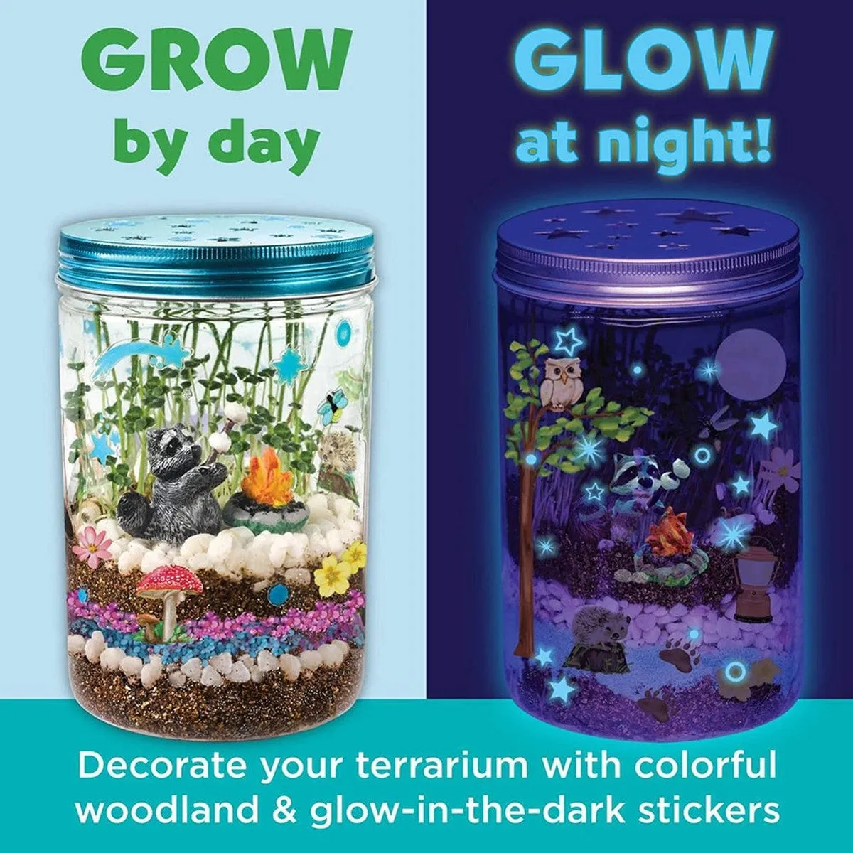 grow n' glow terrarium