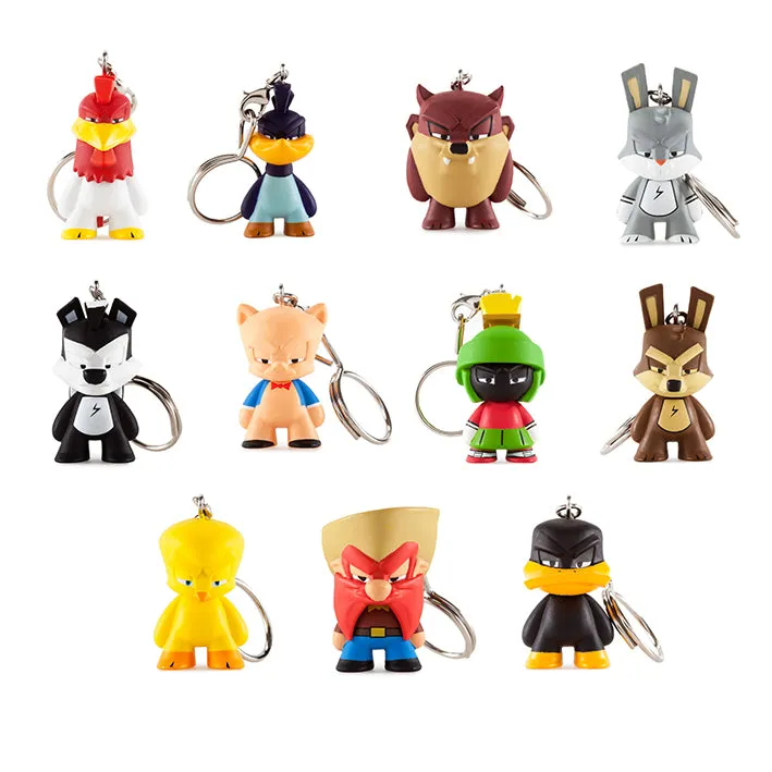 Kidrobot x Looney Tunes Keychains Series: (1 Blind Box)