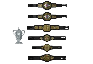 Major League Wrestling Championship Belt Collection - WHOLESALE