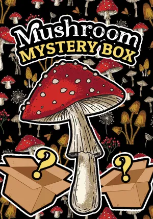 Mushroom | 2024 BESERK MYSTERY BOX [LIMITED]