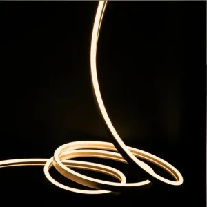 Warm White Neon Flex 24V 8x16mm 120LEDs/m IP65 Waterproof 5cm Cut
